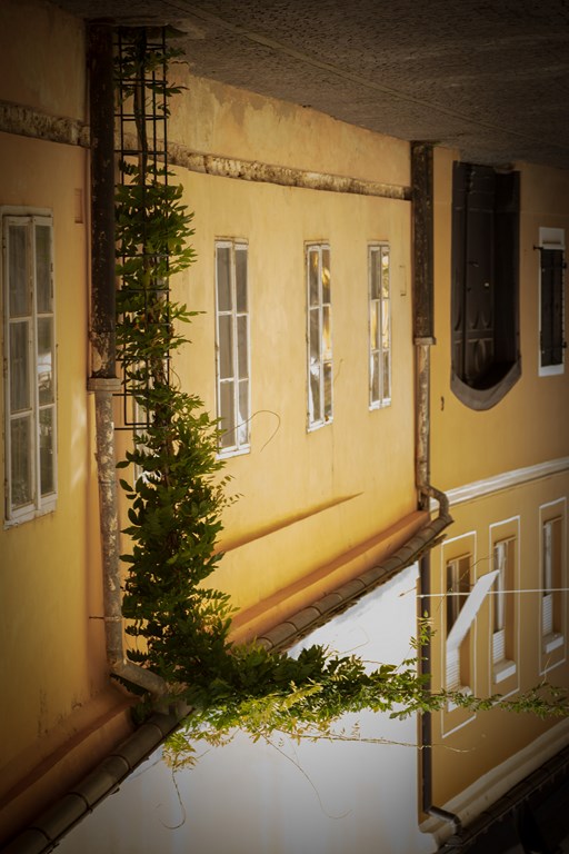 nagradadrazenzrinski3fototipogr