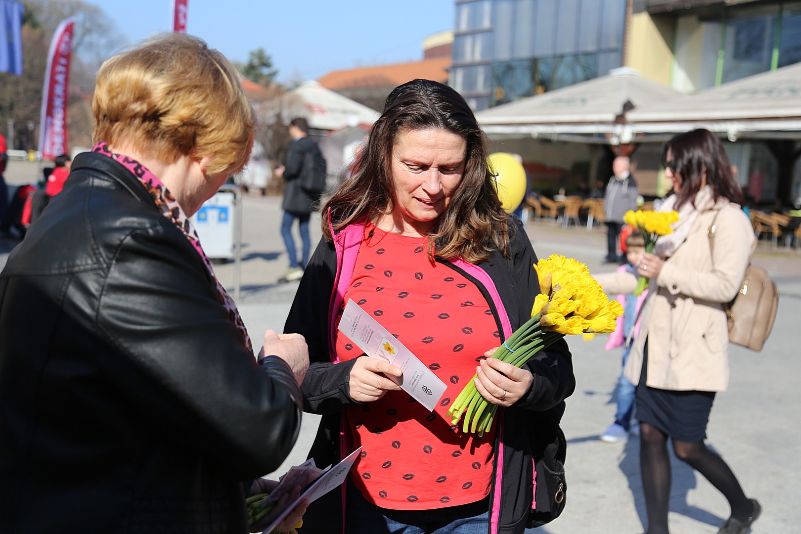 Dan narcisa – Međimurje obojeno u žuto