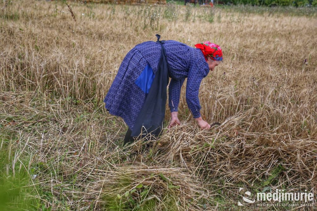 1964825210212312056613508190130