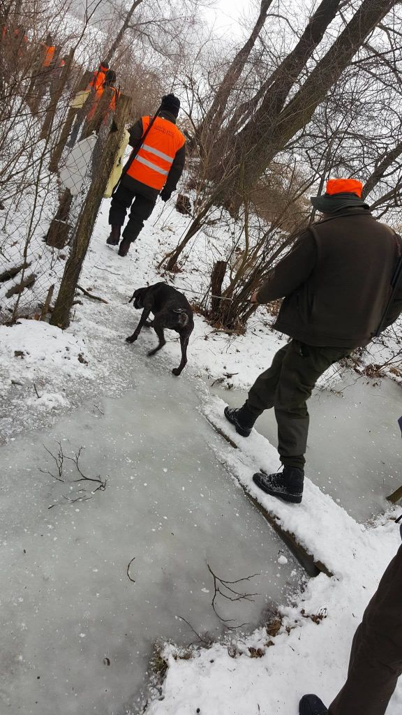 1617945015176201866106117481925