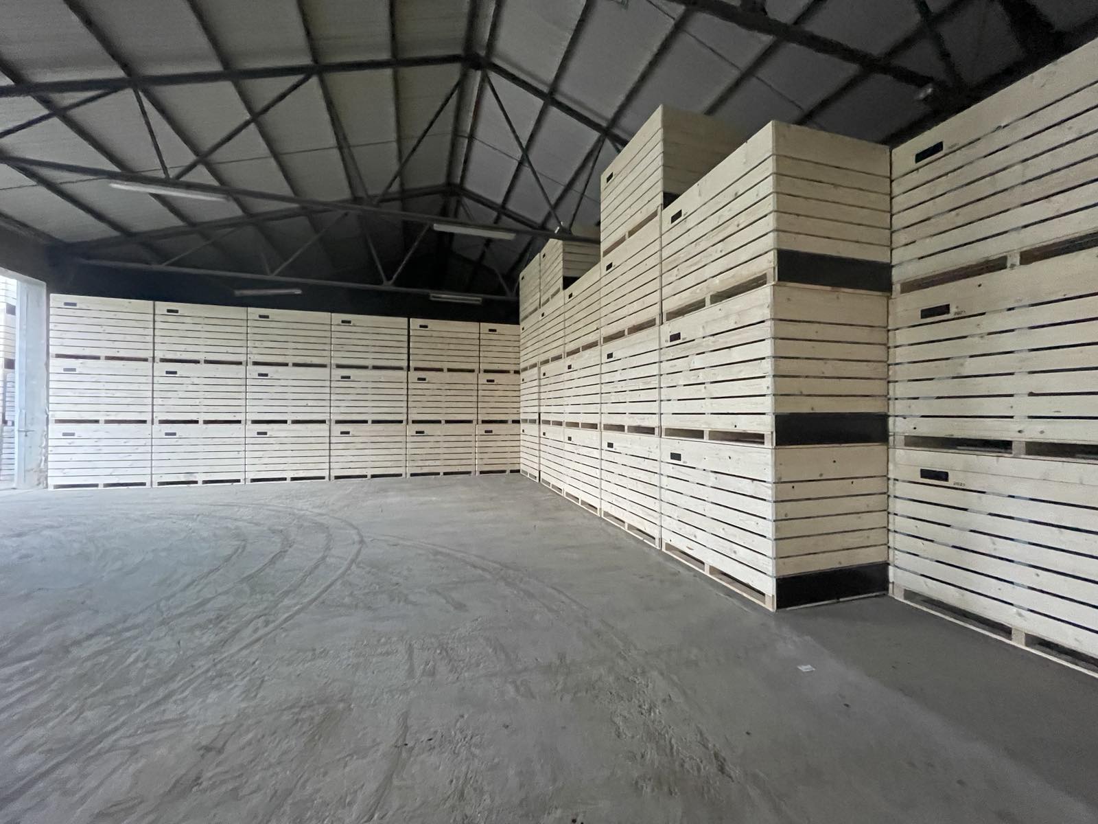 Tomislav Nikolina Filipović Tomislav Nikolina Filipović