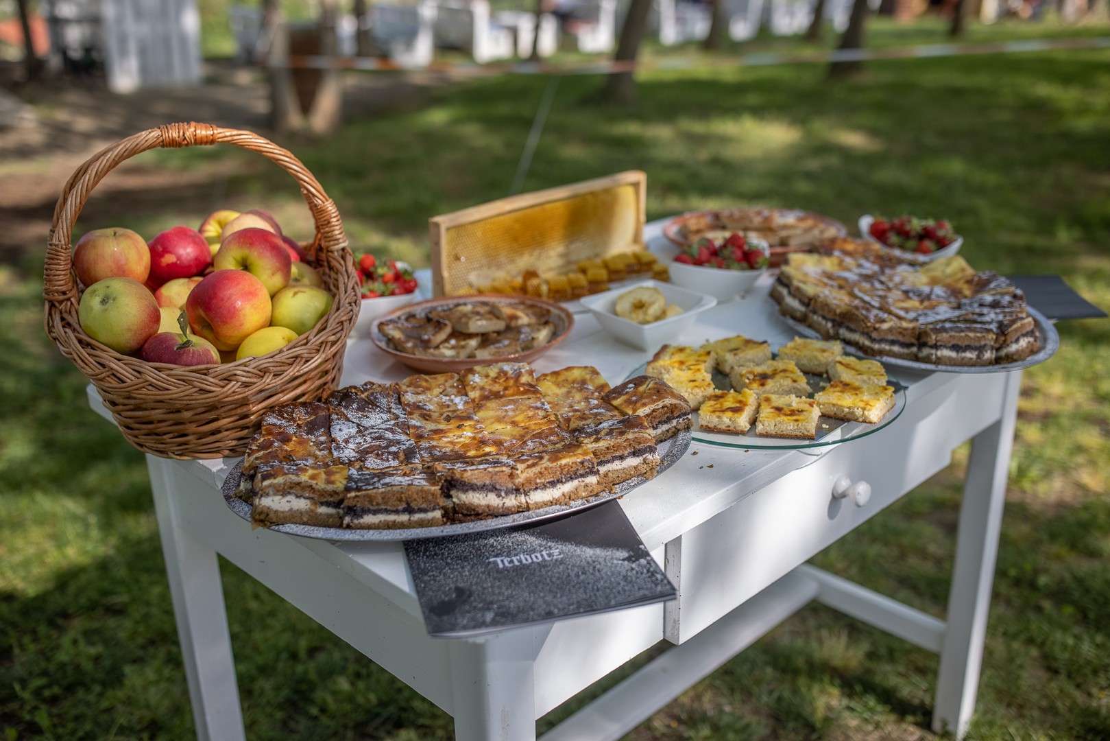 Na Mađerkinom bregu održan Pjenušavi doručak u vinogradu