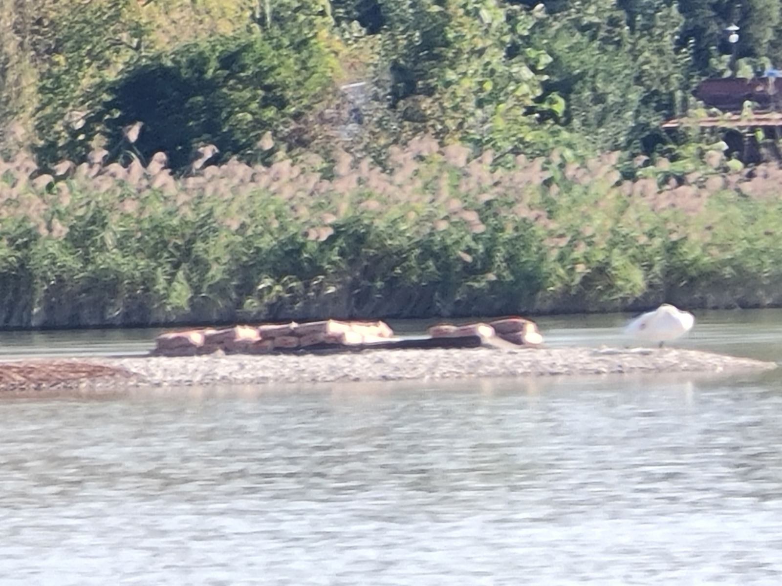 Bespravna gradnja uz Dravu