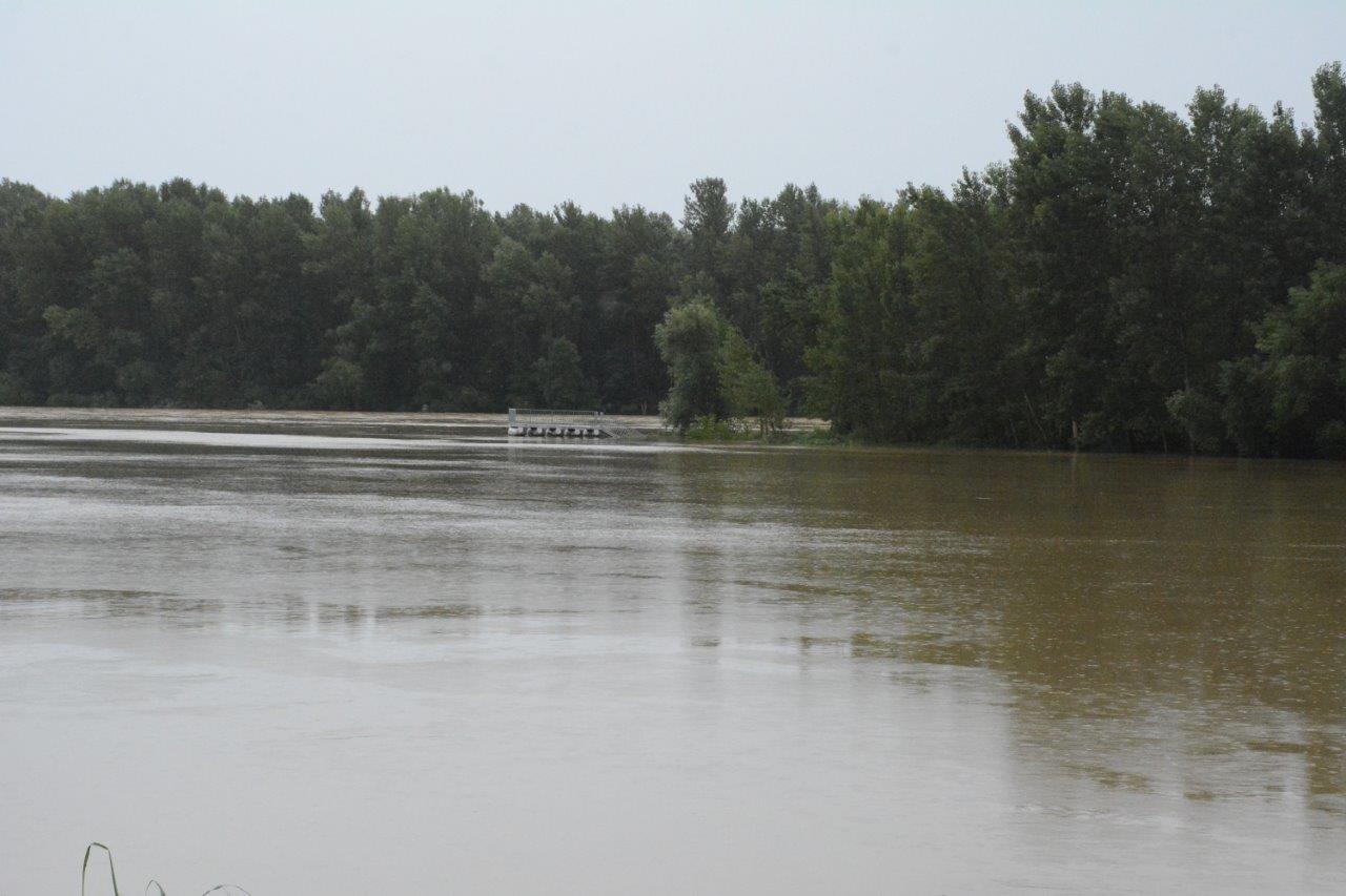 DONJA DUBRAVA Vodostaj Drave napravio svoje, veliki dio površine je već poplavljeno