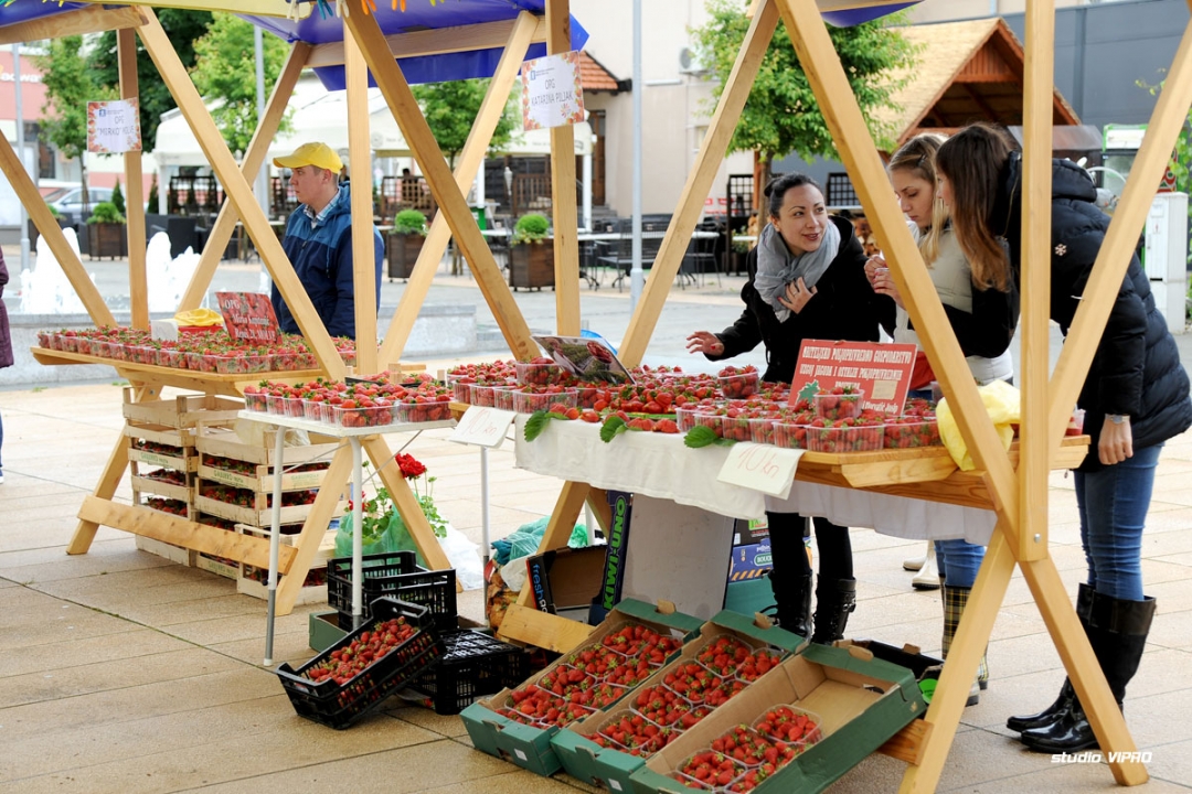 292812078dsc9387848762