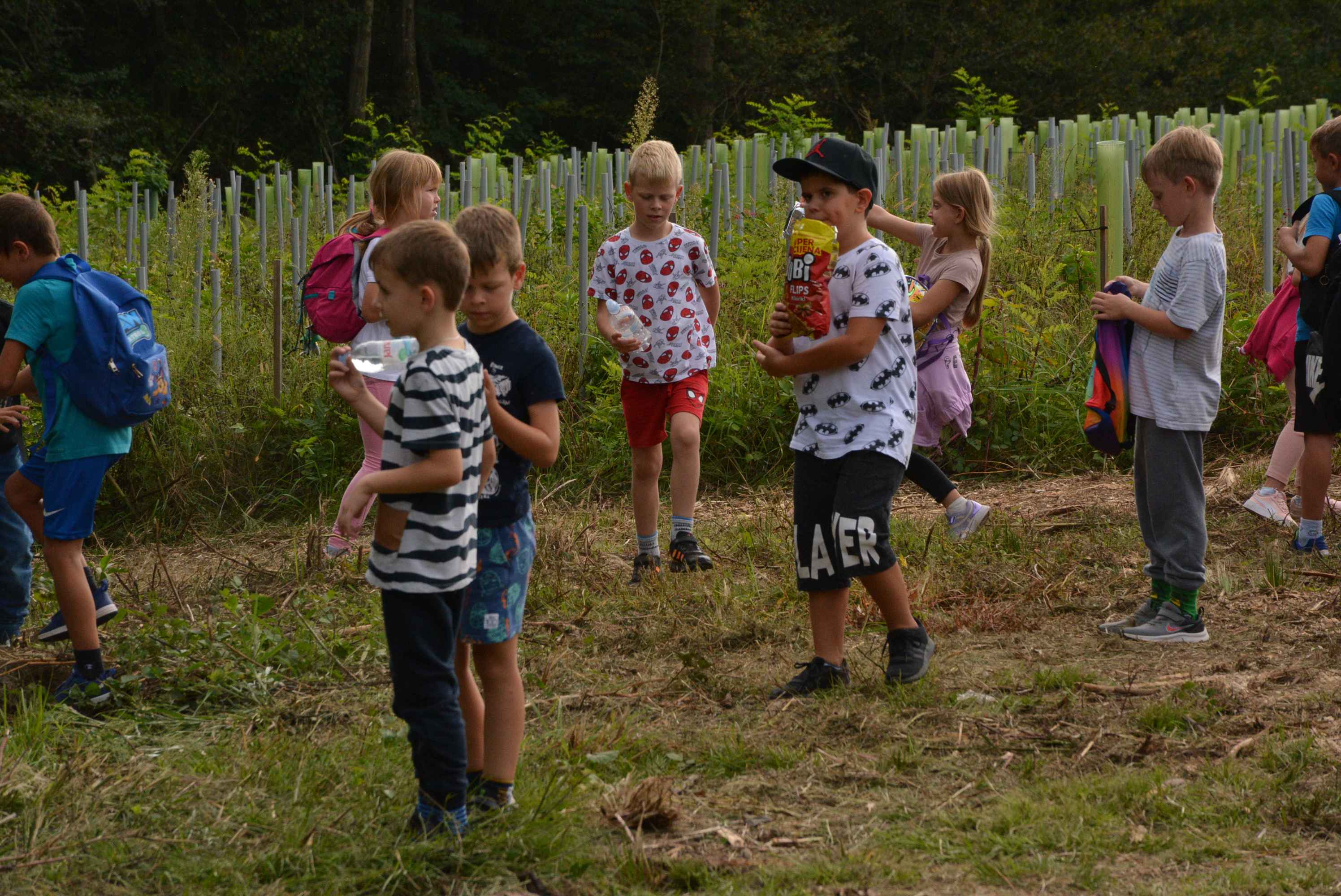 KNEZOVEC Održana velika akcija pošumljavanja u ogranizaciji tvrtke Sobočan