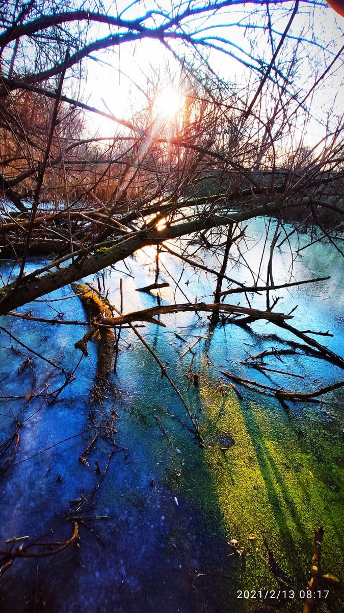 Zvonimir Habuš iz Kotoribe očarava fotografijama netaknute prirode