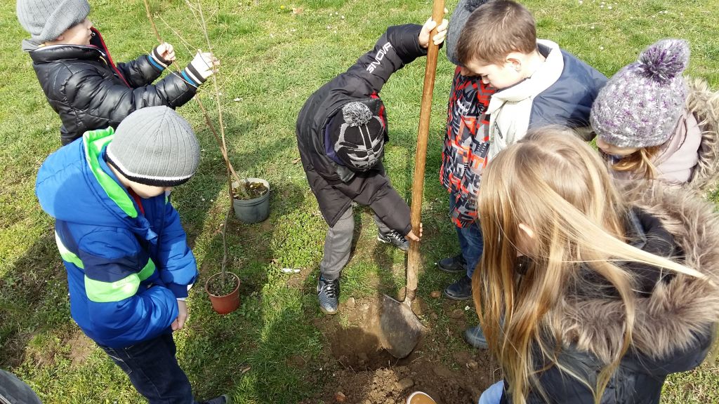 20160309121328458427