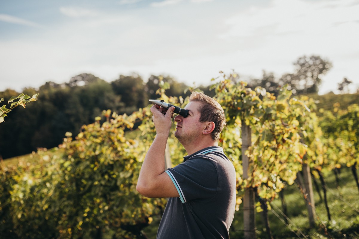 RAJKO CMREČNJAK ‘Osvojene medalje poticaj su nam za stvaranje budućih vrhunskih vina’