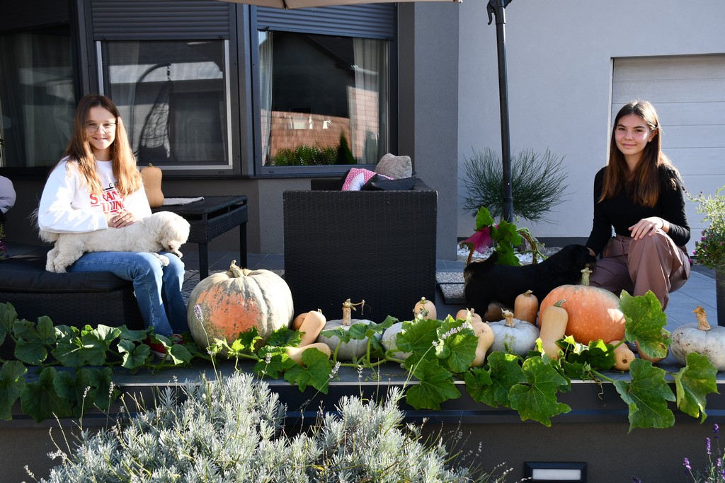 IMPOZANTNE BUNDEVE Jesenska čarolija na imanju obitelji Dodlek u Belici