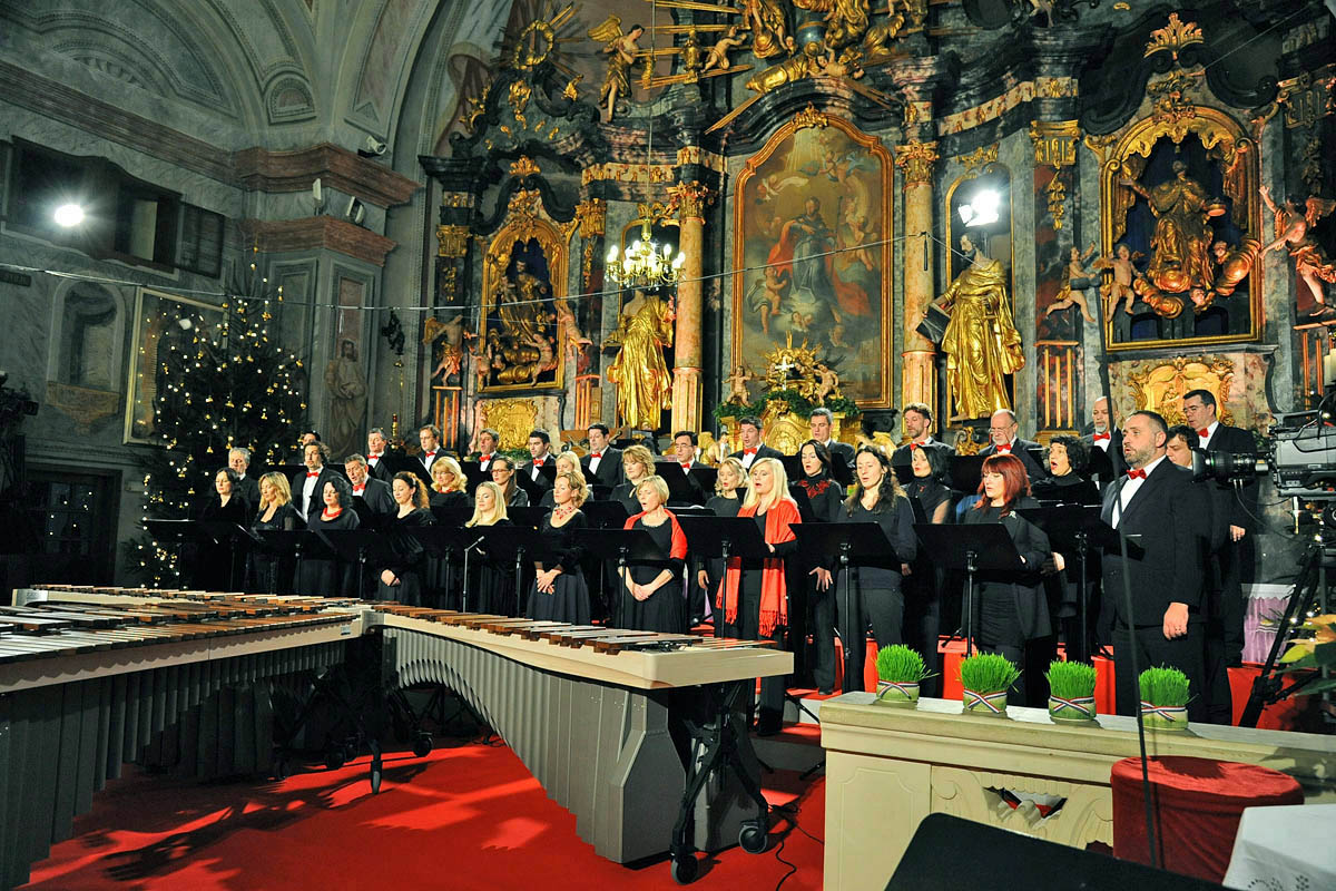 269010918dsc4398343669