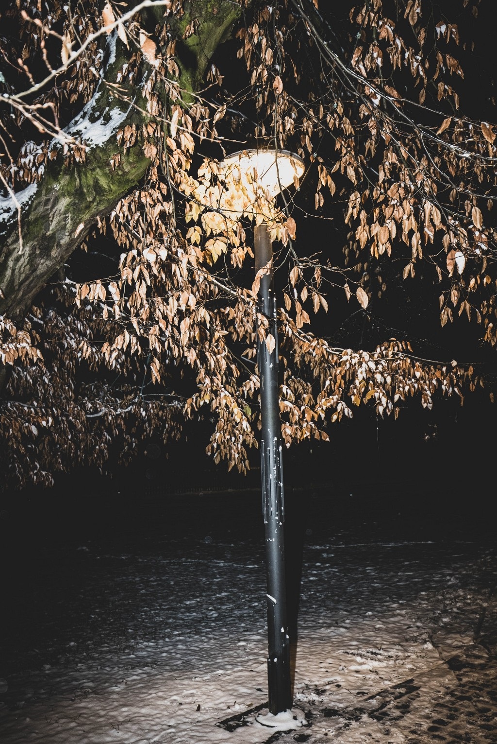 Mališani uživali u sanjkanju, snježna dekoracija centru Čakovca dala posebnu čar