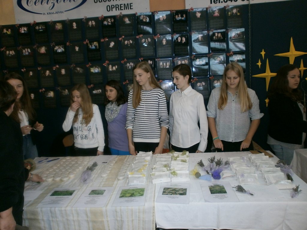 bozicnisajam201519kopija889578