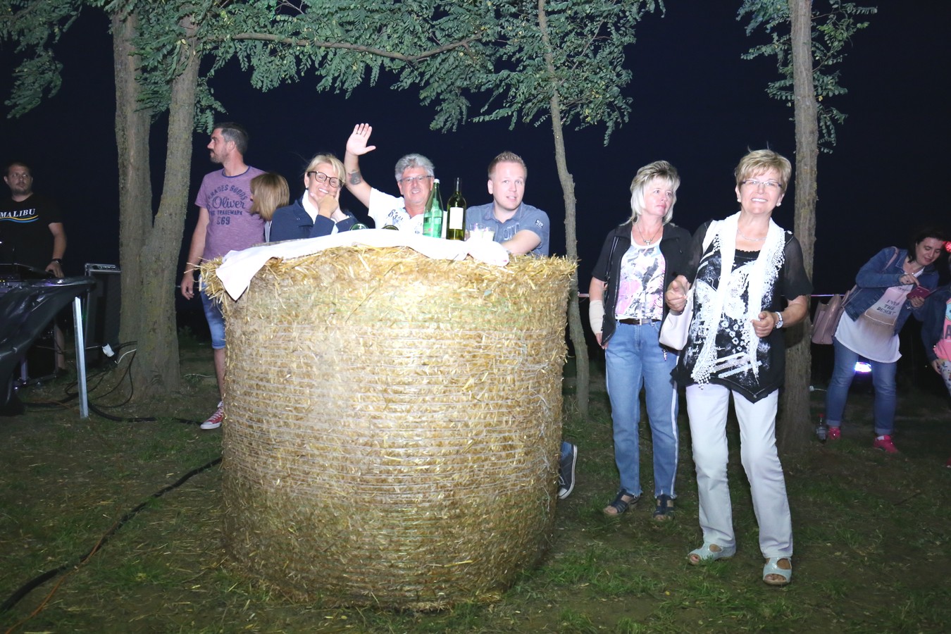 Odličan koncert Vatre u predivnom ambijentu Mađerkinog brega