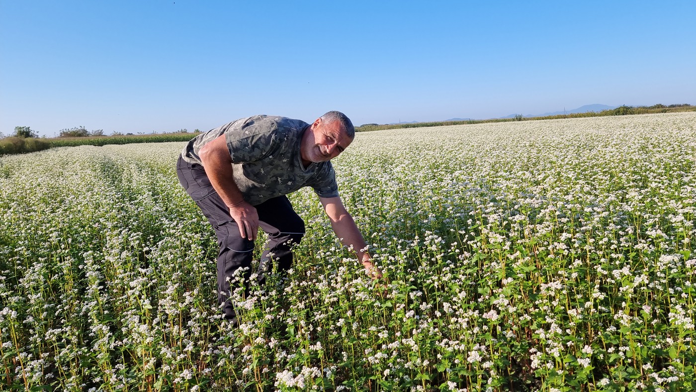 ANDRIJA STRIČAK IZ ČAKOVCA Heljda je dobra i za ljude i za pčele