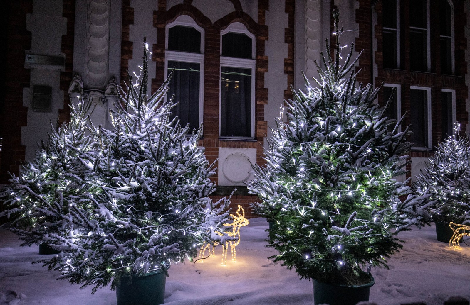 Mališani uživali u sanjkanju, snježna dekoracija centru Čakovca dala posebnu čar