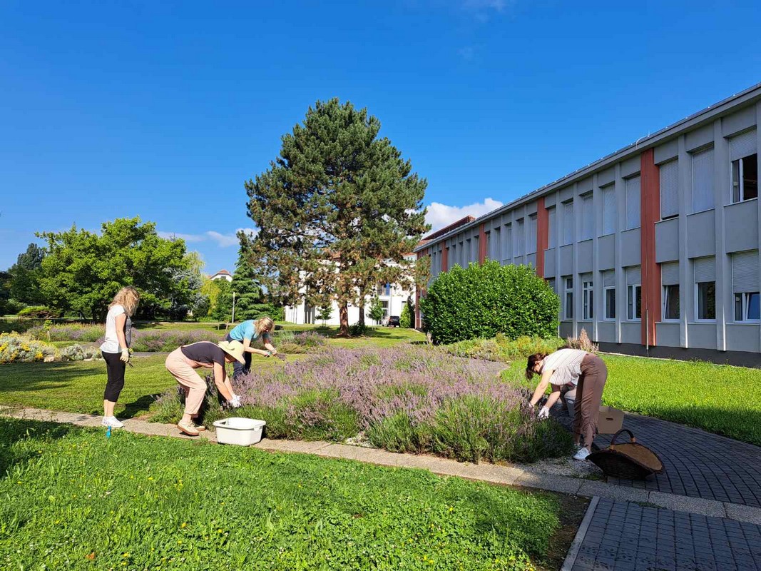 Mirisni vrt ETŠ Čakovec