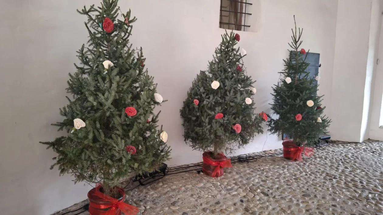 čakovec priprema za advent 2025 (2)