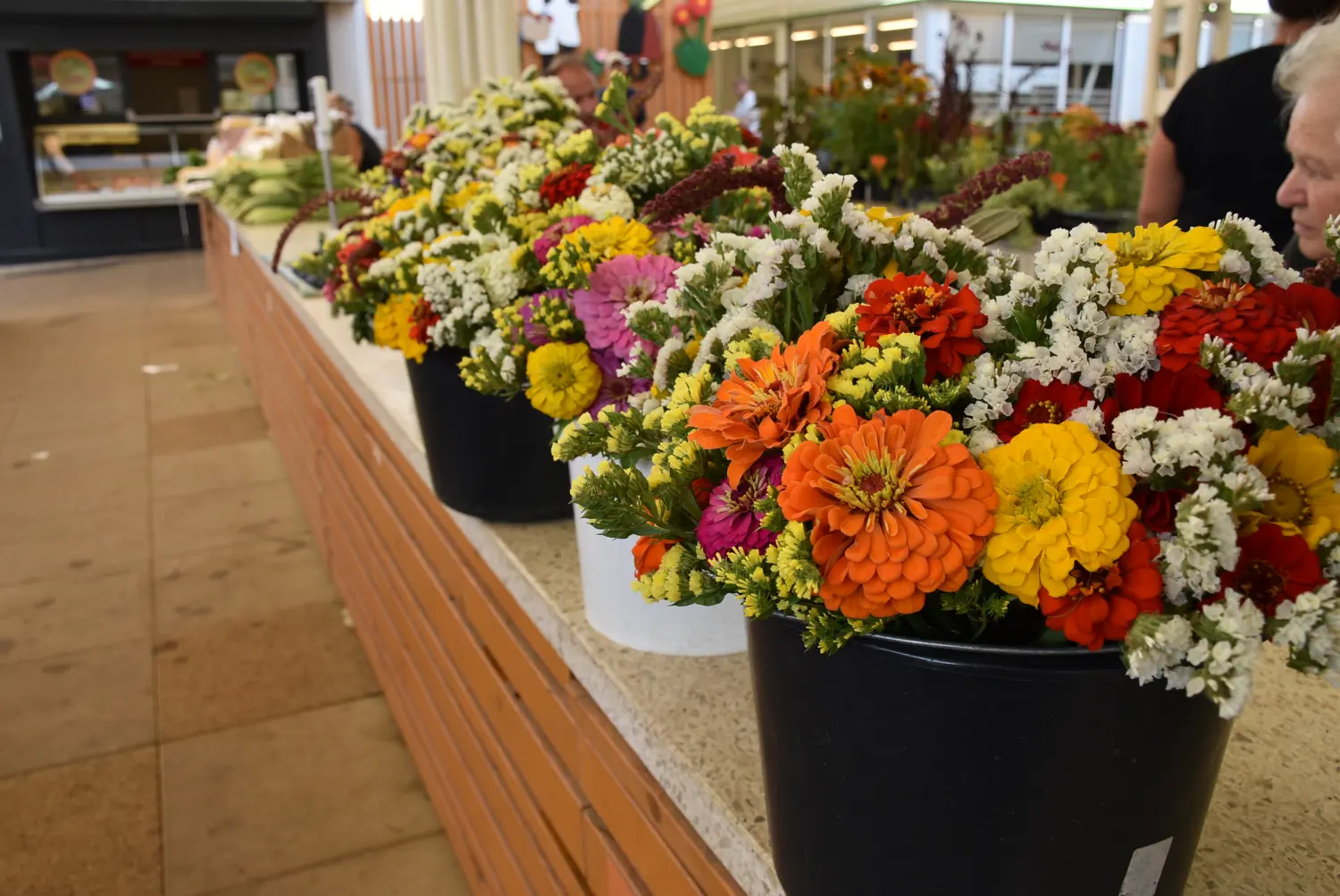 čakovečka tržnica 12.7.2024 (12) čakovečka tržnica 12.7.2024 (12)