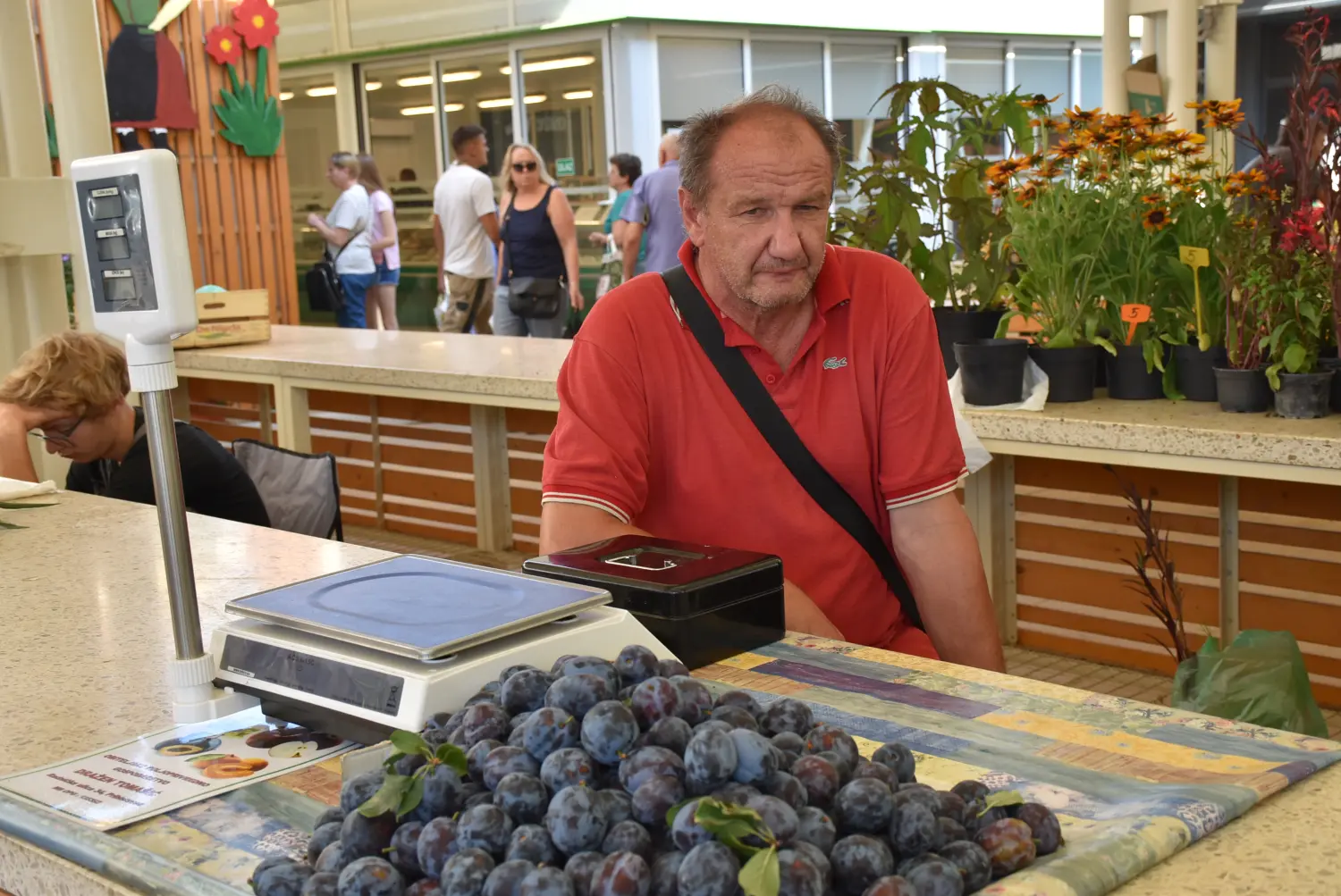 čakovečka tržnica 12.7.2024 (13) čakovečka tržnica 12.7.2024 (13)