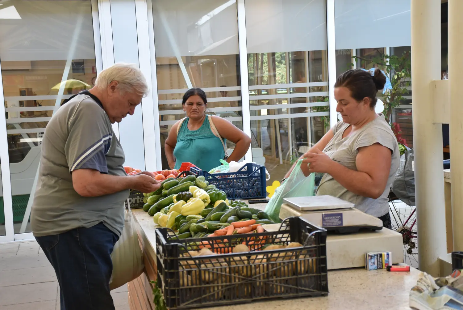 čakovečka tržnica 12.7.2024 (2) čakovečka tržnica 12.7.2024 (2)
