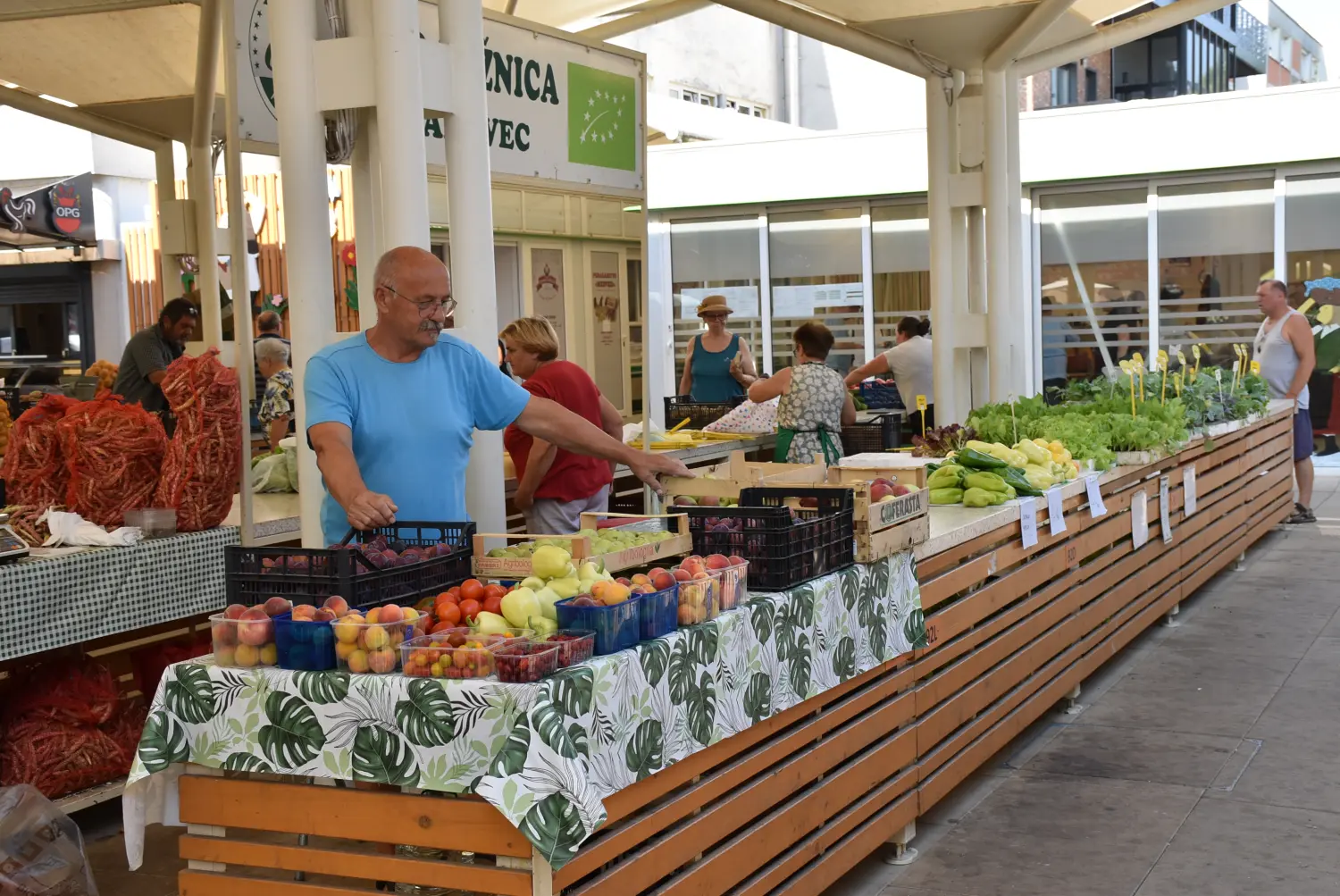 čakovečka tržnica 12.7.2024 (27) čakovečka tržnica 12.7.2024 (27)