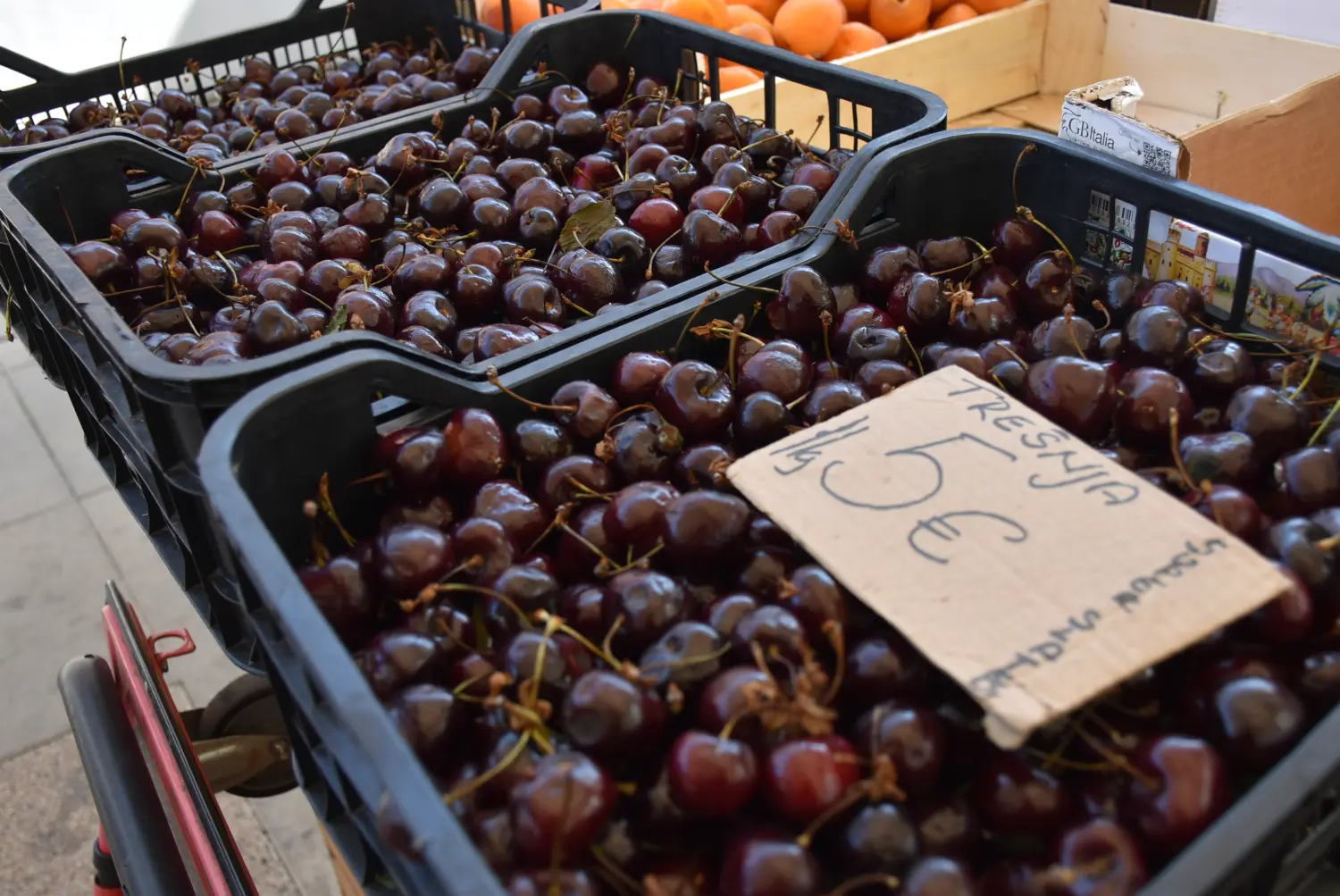 čakovečka tržnica 12.7.2024 (28) čakovečka tržnica 12.7.2024 (28)