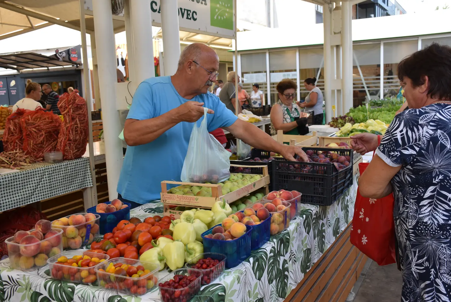 čakovečka tržnica 12.7.2024 (37) čakovečka tržnica 12.7.2024 (37)