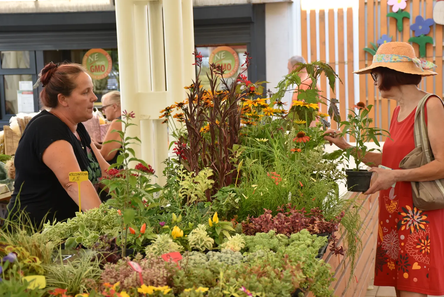 čakovečka tržnica 12.7.2024 (8) čakovečka tržnica 12.7.2024 (8)