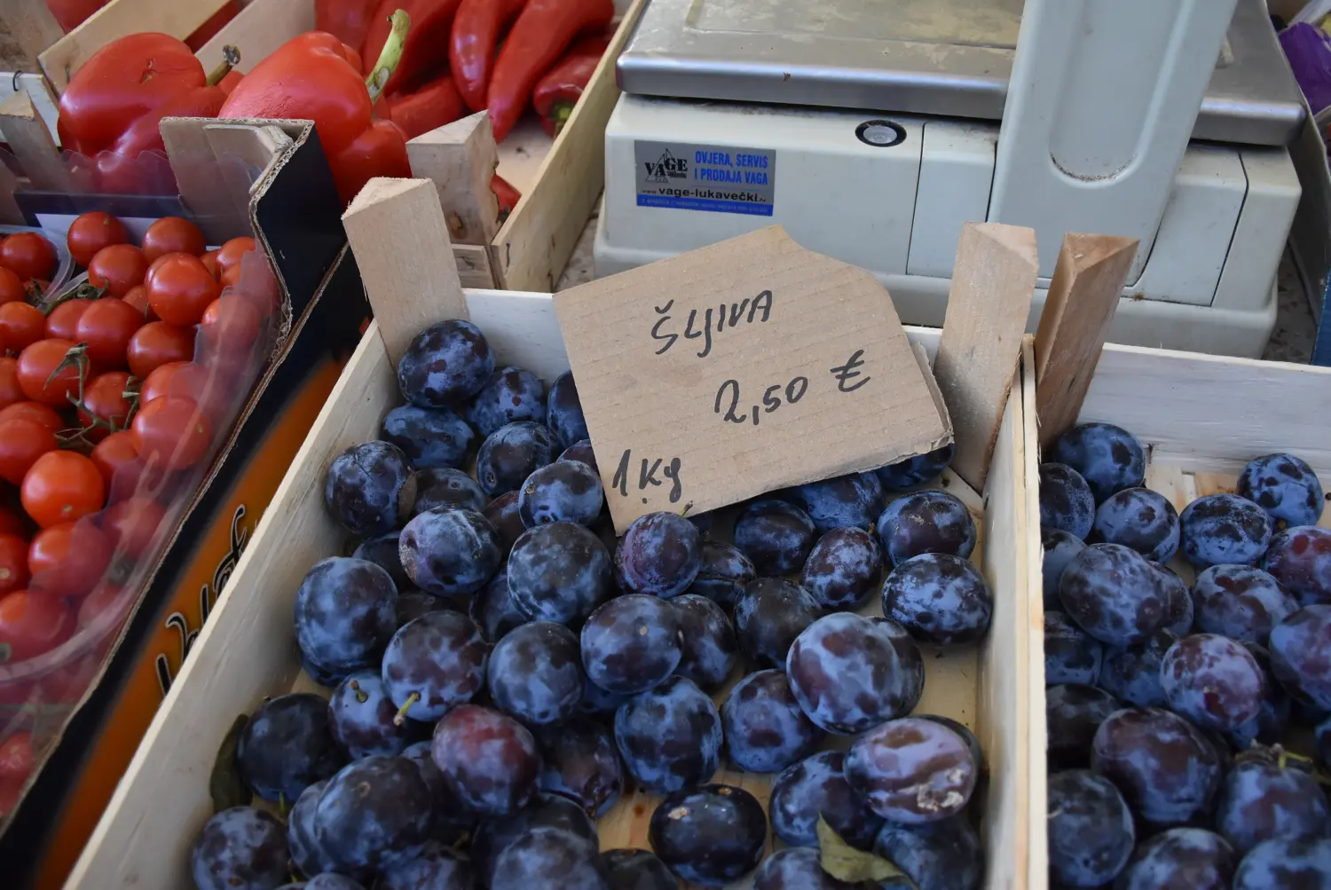 čakovečka tržnica 26.7 (20) čakovečka tržnica 26.7 (20)