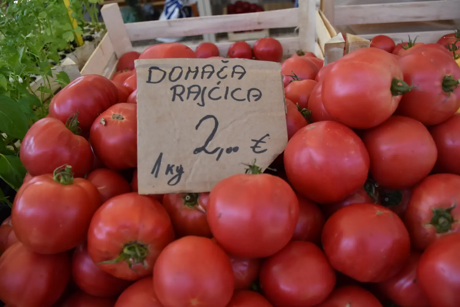 čakovečka tržnica 26.7 (21) čakovečka tržnica 26.7 (21)