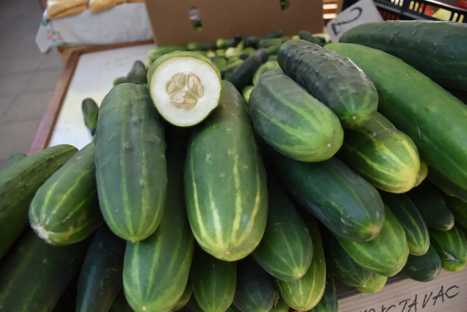 čakovečka tržnica 26.7 (23) čakovečka tržnica 26.7 (23)