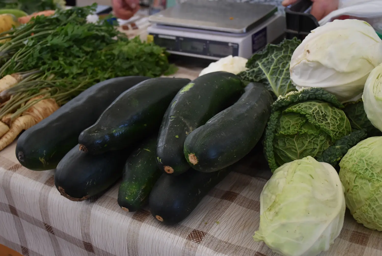 čakovečka tržnica 26.7 (27) čakovečka tržnica 26.7 (27)