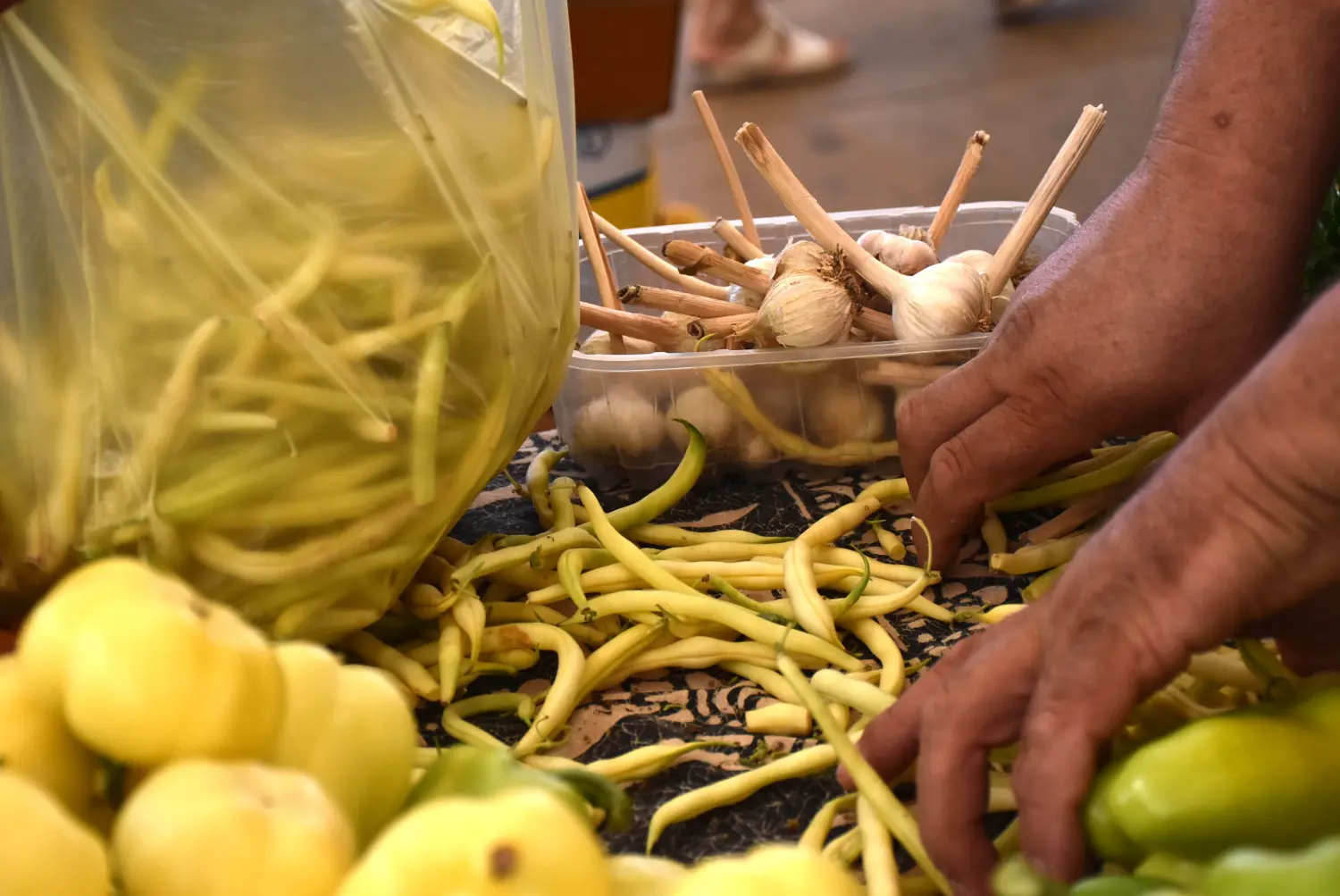 čakovečka tržnica 26.7 (28) čakovečka tržnica 26.7 (28)