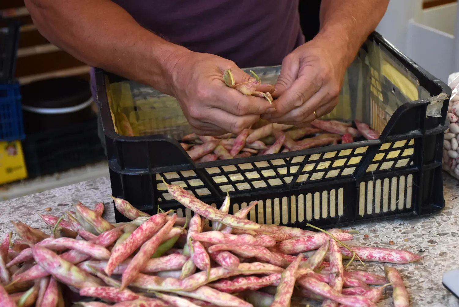 čakovečka tržnica 26.7 (30) čakovečka tržnica 26.7 (30)