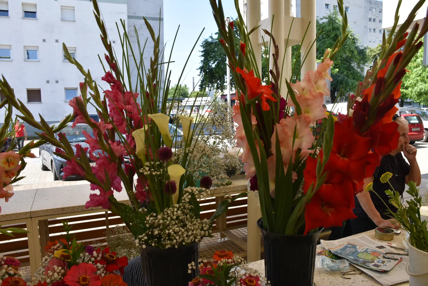 čakovečka tržnica 28.6.2024 (15) čakovečka tržnica 28.6.2024 (15)