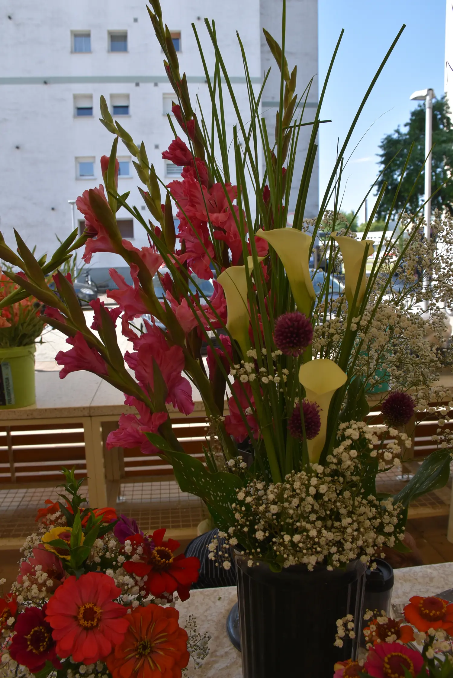 čakovečka tržnica 28.6.2024 (16) čakovečka tržnica 28.6.2024 (16)