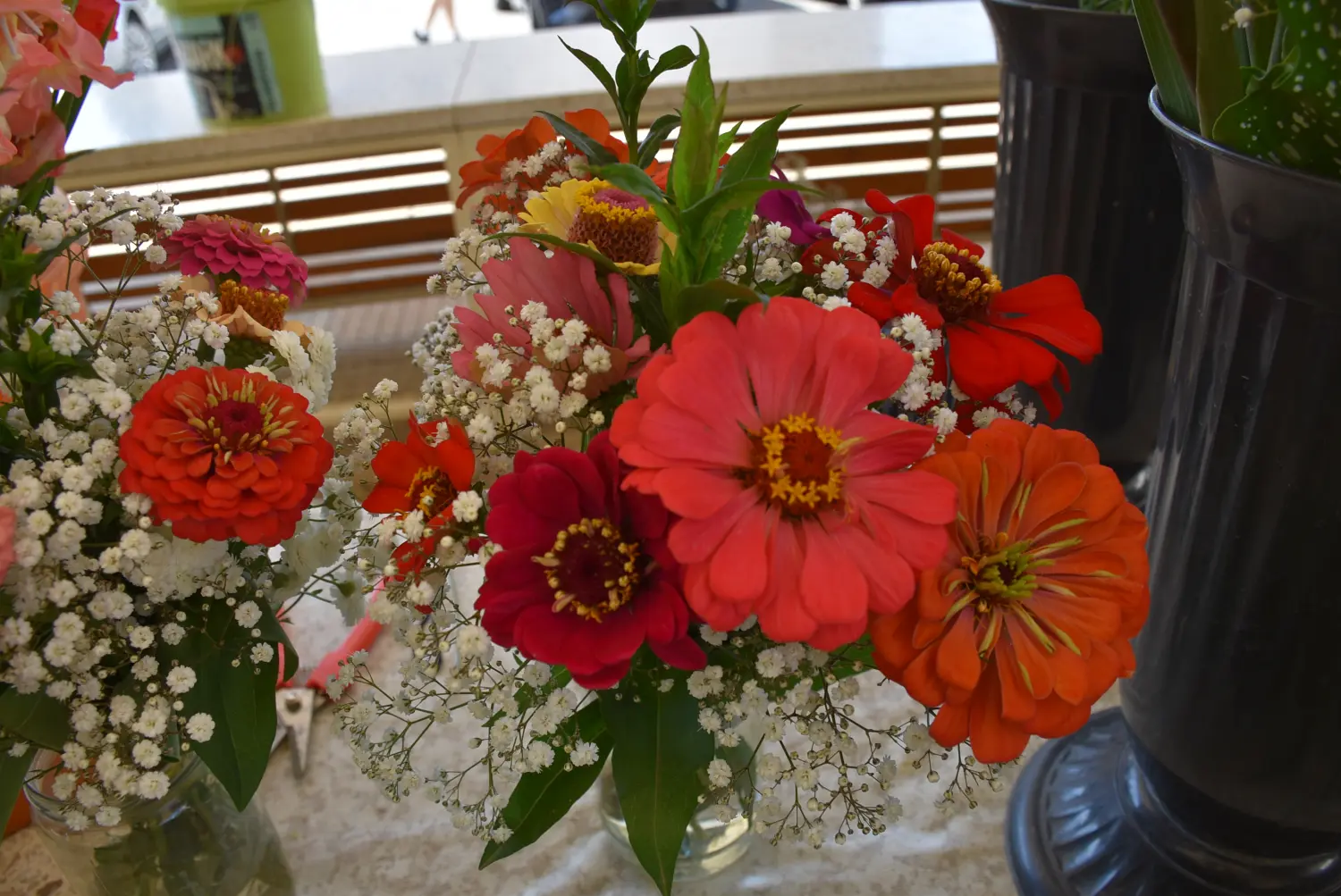 čakovečka tržnica 28.6.2024 (17) čakovečka tržnica 28.6.2024 (17)