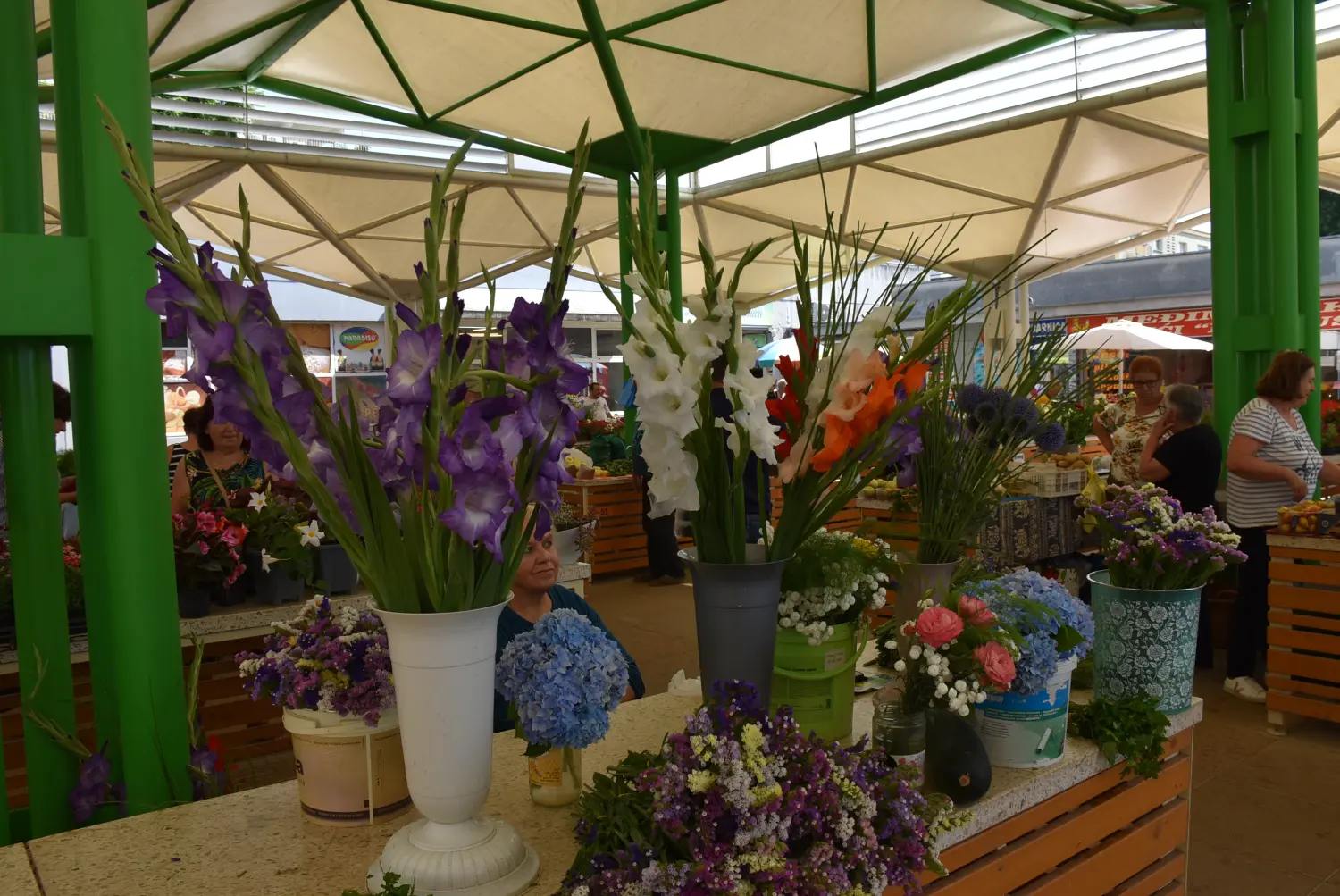 čakovečka tržnica 28.6.2024 (19) čakovečka tržnica 28.6.2024 (19)