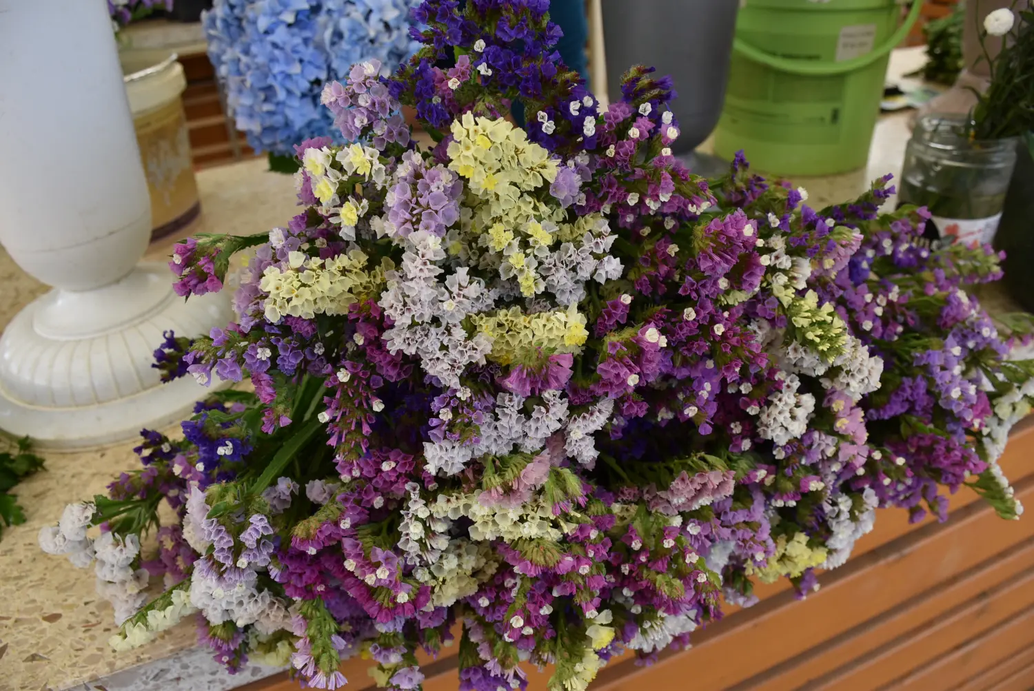 čakovečka tržnica 28.6.2024 (20) čakovečka tržnica 28.6.2024 (20)