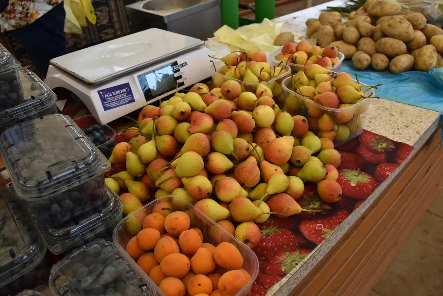 čakovečka tržnica 28.6.2024 (23) čakovečka tržnica 28.6.2024 (23)
