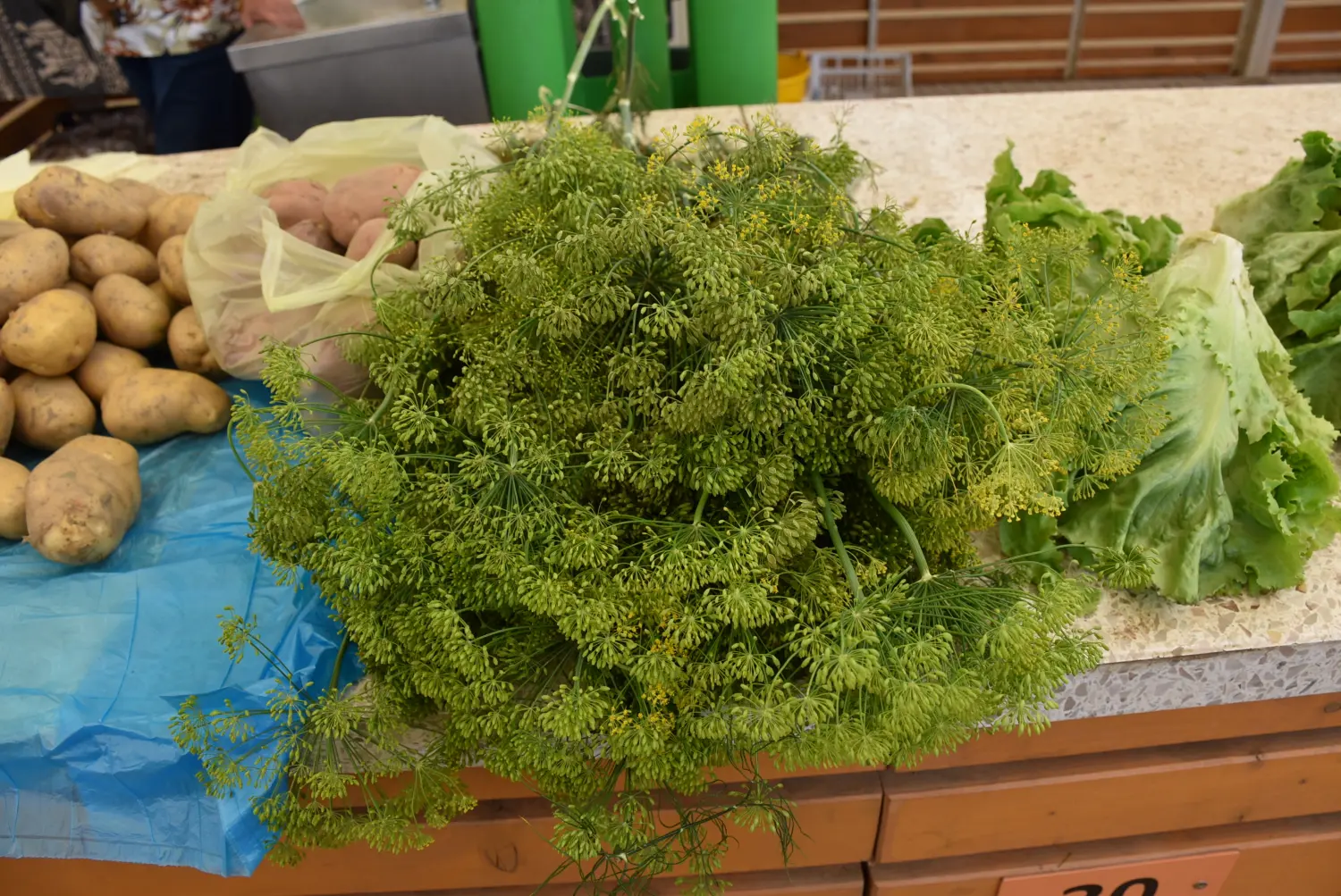 čakovečka tržnica 28.6.2024 (24) čakovečka tržnica 28.6.2024 (24)