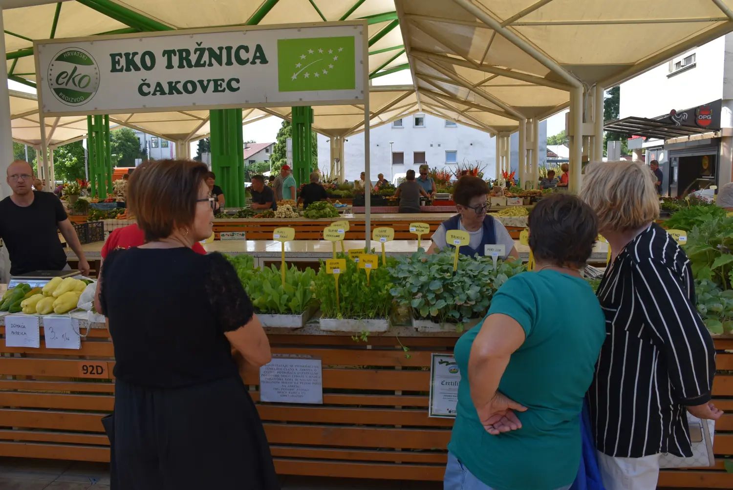 čakovečka tržnica 28.6.2024 (28) čakovečka tržnica 28.6.2024 (28)