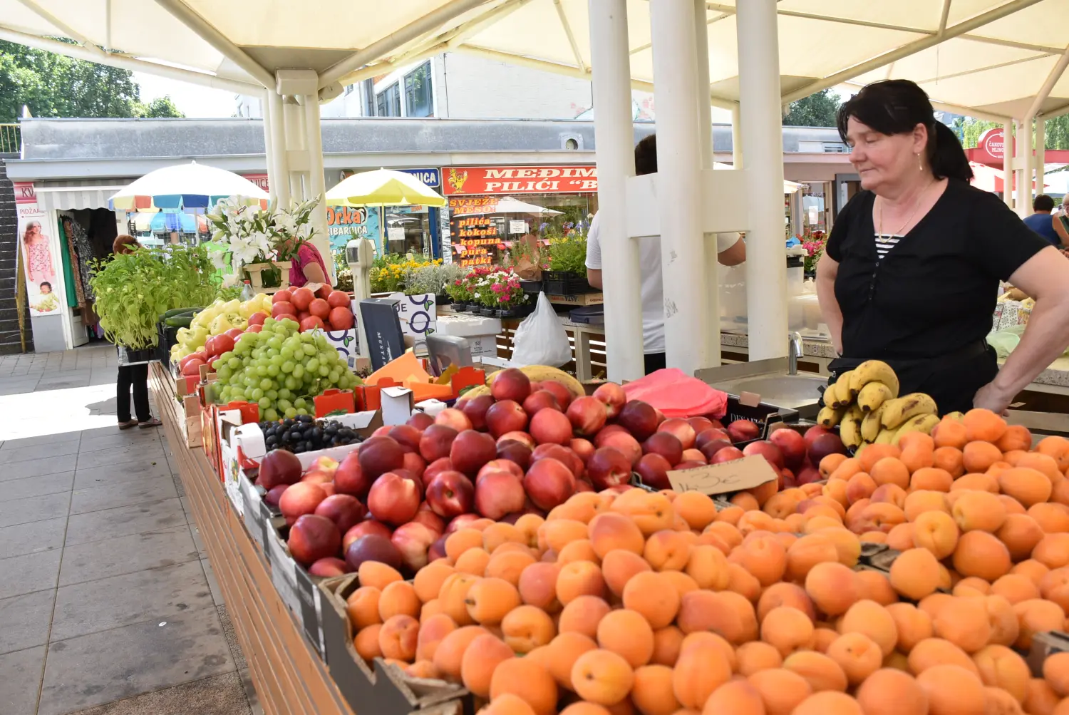 čakovečka tržnica 28.6.2024 (29) čakovečka tržnica 28.6.2024 (29)