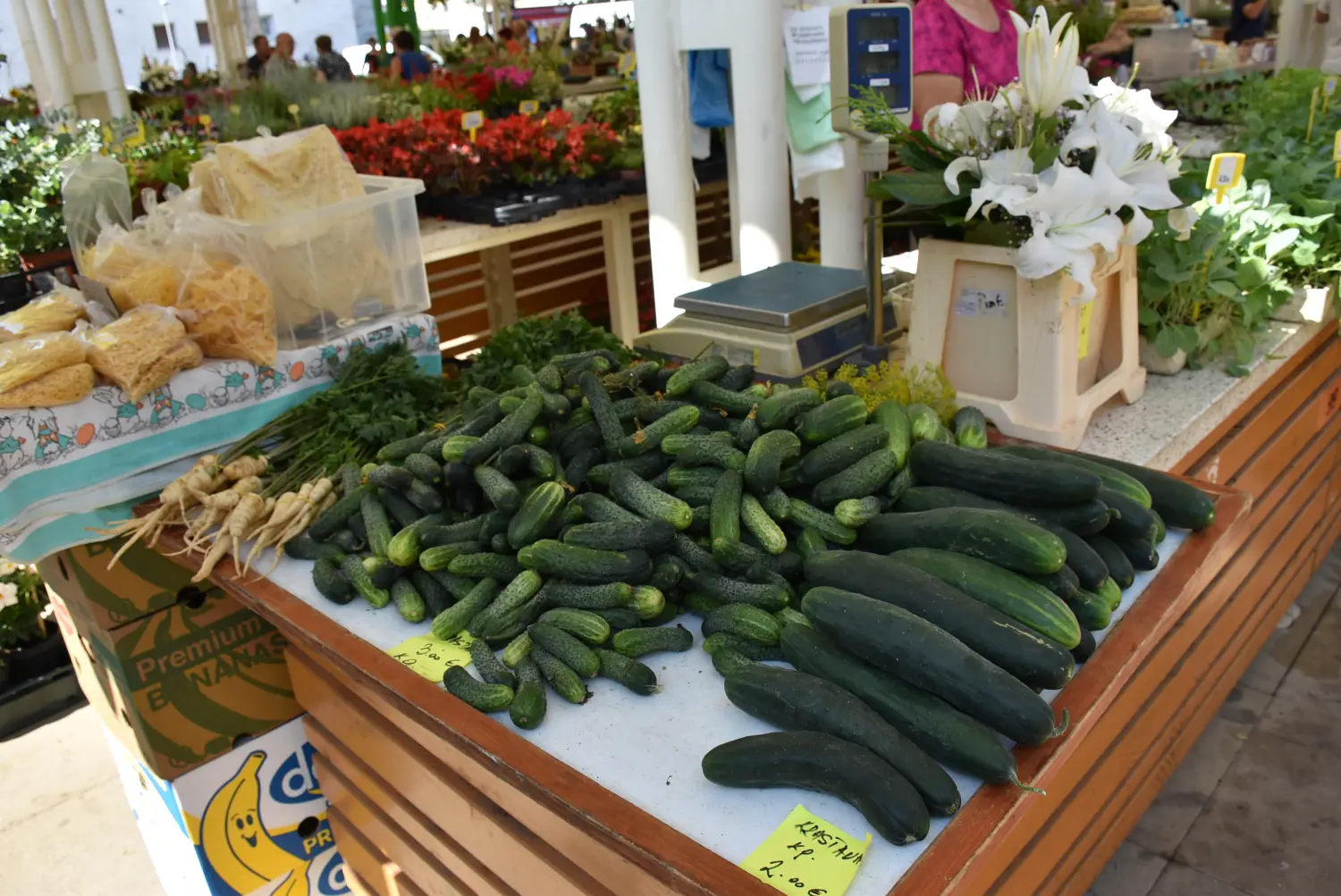 čakovečka tržnica 28.6.2024 (30) čakovečka tržnica 28.6.2024 (30)