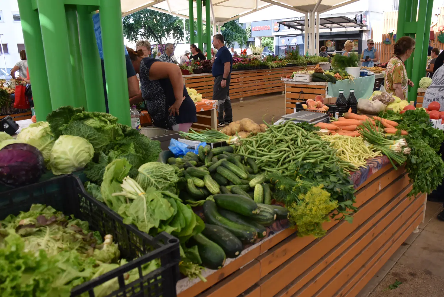 čakovečka tržnica 28.6.2024 (31) čakovečka tržnica 28.6.2024 (31)
