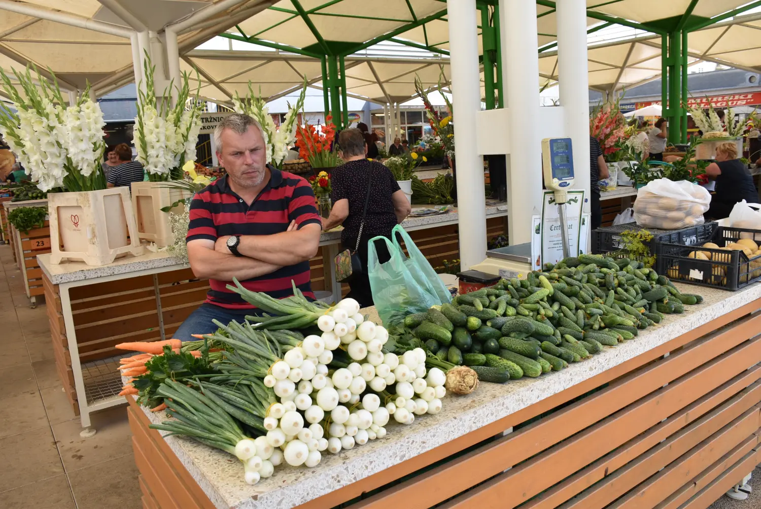 čakovečka tržnica 28.6.2024 (4) čakovečka tržnica 28.6.2024 (4)