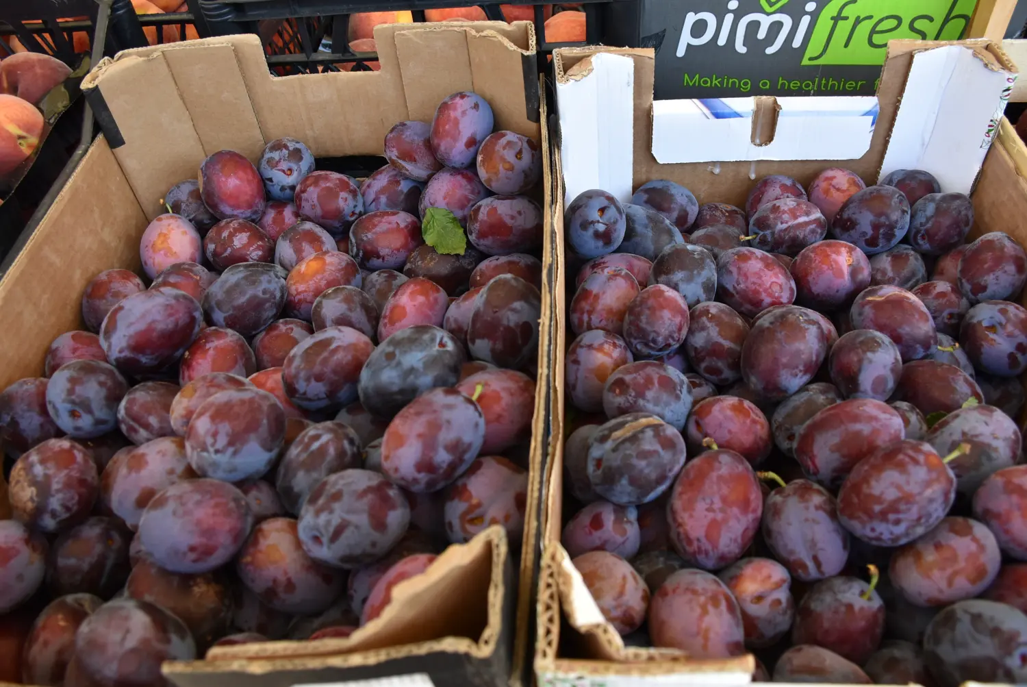 čakovečka tržnica 28.6.2024 (7) čakovečka tržnica 28.6.2024 (7)