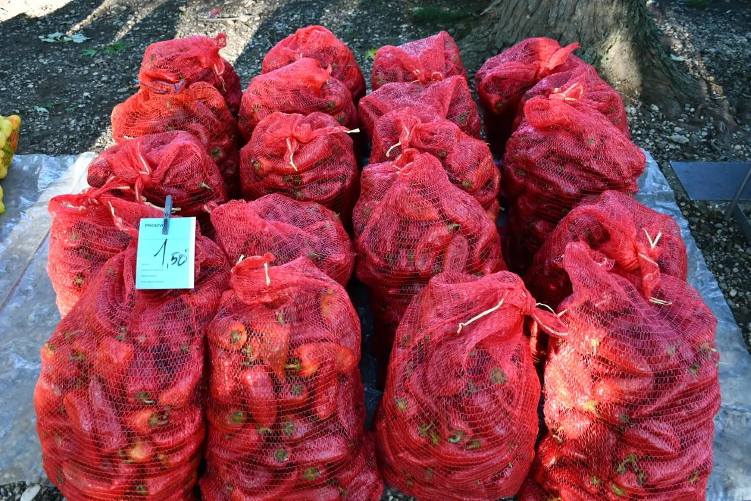 čakovečki sajam 11.9.2024 (10)