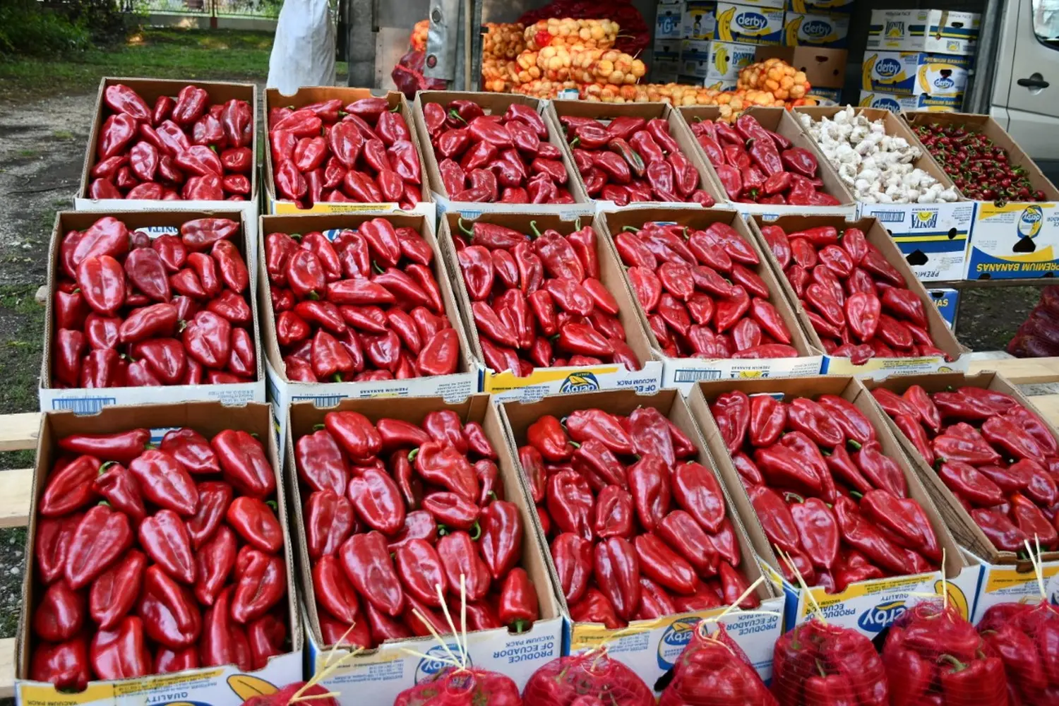 čakovečki sajam 11.9.2024 (18)